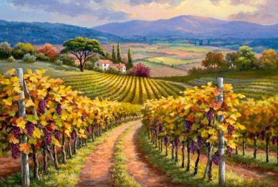 Vineyard Hill